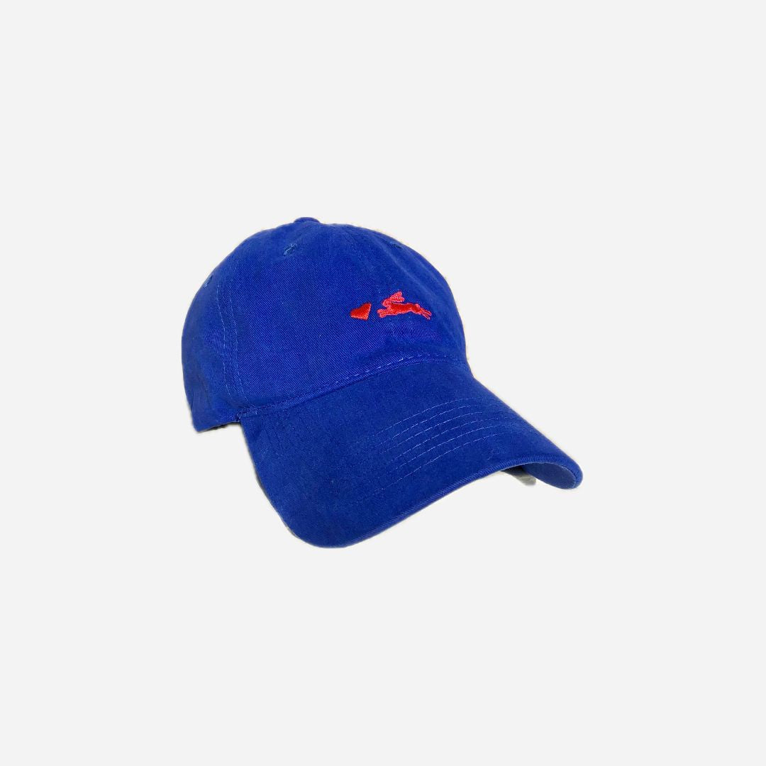 Gorra Azul Frida