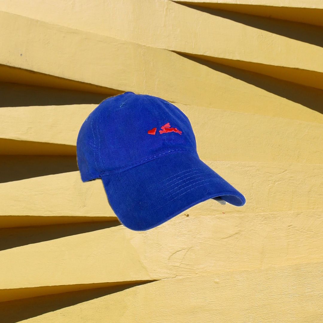 Gorra Azul Frida